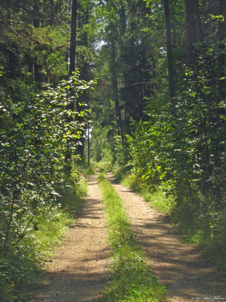 Neheim Forest Road south of Hayes Lake State Park