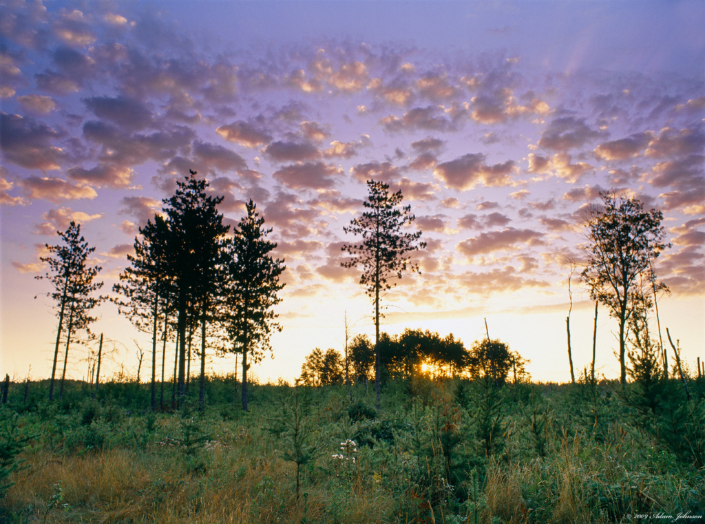 Sunrise from a clearing along River Forest Road northeast of Hayes Lake State Park